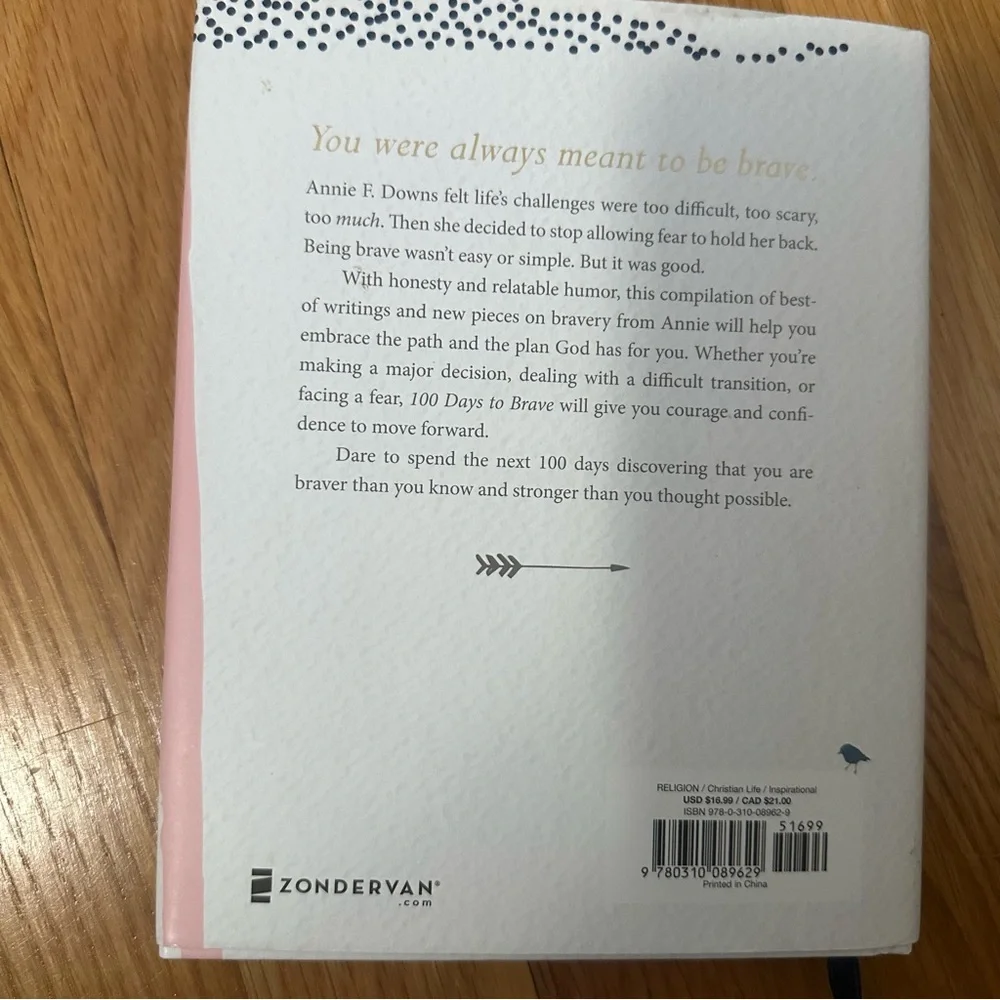 100 Days to Brave by Annie Downs Devotional and blank Christian Journal NEW